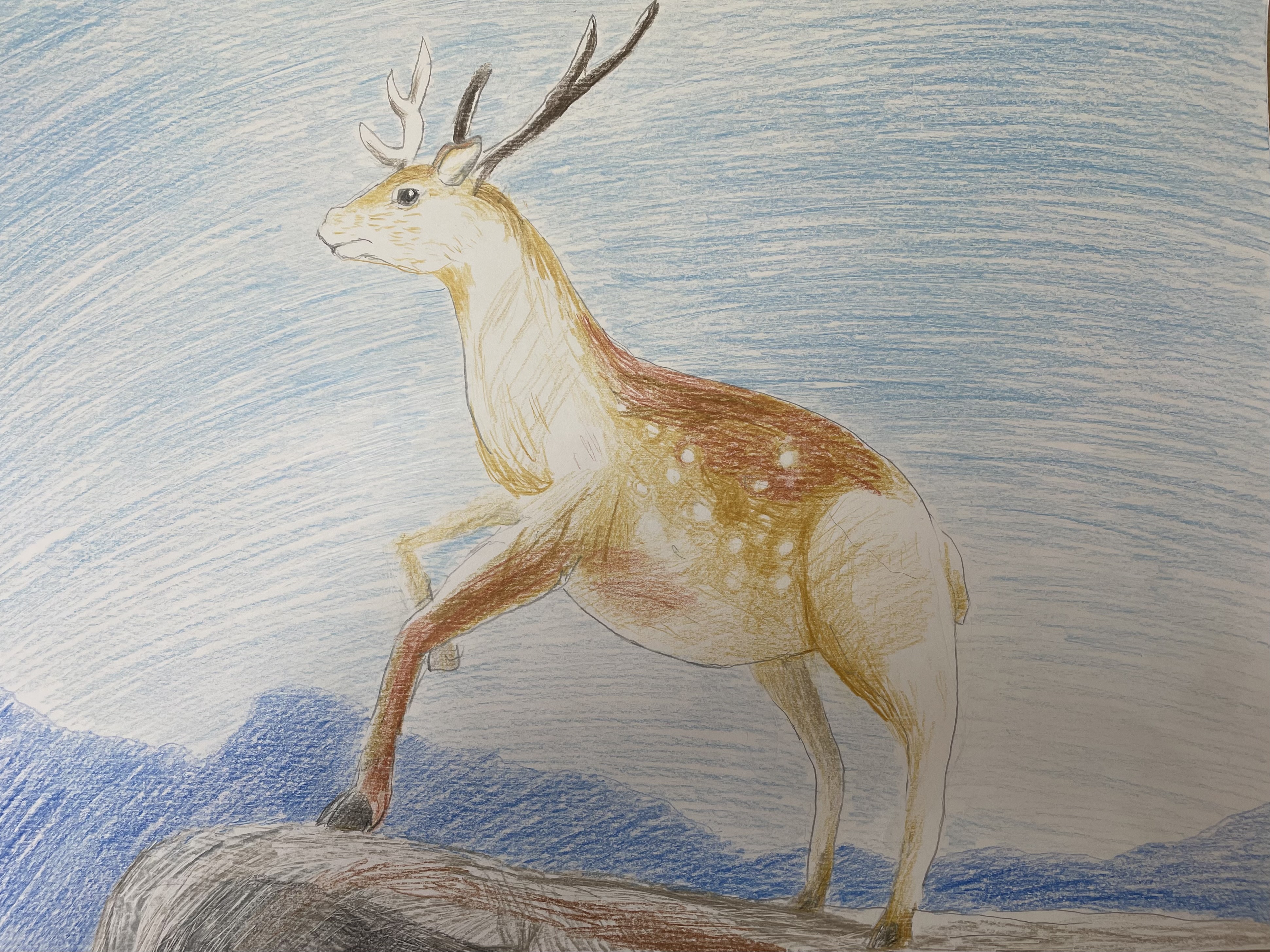 登録事業者で選ぶ｜ART cider／アートサイダー